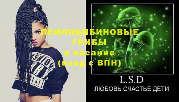 тгк Болхов