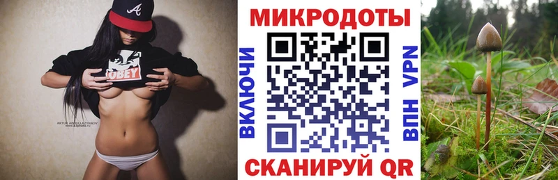 Галлюциногенные грибы Psilocybe  закладки  Весьегонск 